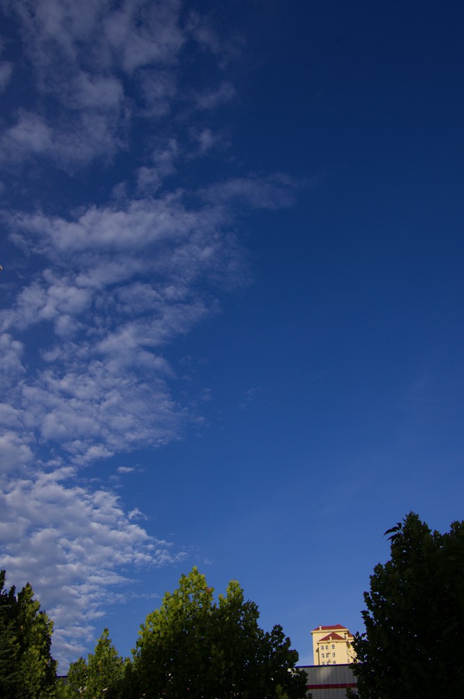 IMGP4299.jpg
